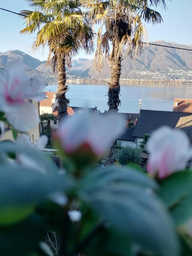 Albergo Ristorante Al Portico Gerra  Dış mekan fotoğraf