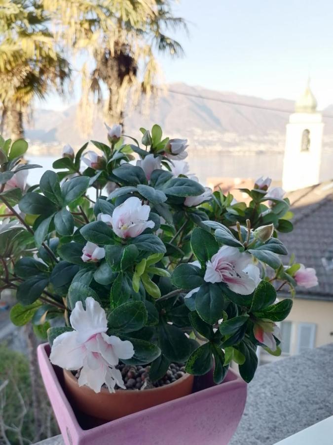 Albergo Ristorante Al Portico Gerra  Dış mekan fotoğraf